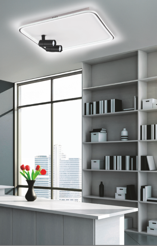 Marla plafoniera bianco/nero Luxima 40W CCT 3000-4000-6000K
